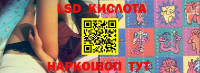 PSILOCYBIN Краснодар