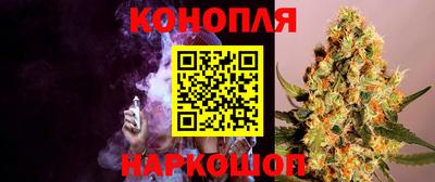 PSILOCYBIN Краснодар