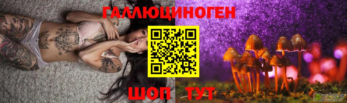 Самара  Псилоцибиновые грибы Psilocybine cubensis  Вход с VPN  Галлюциногенные грибы Cubensis 