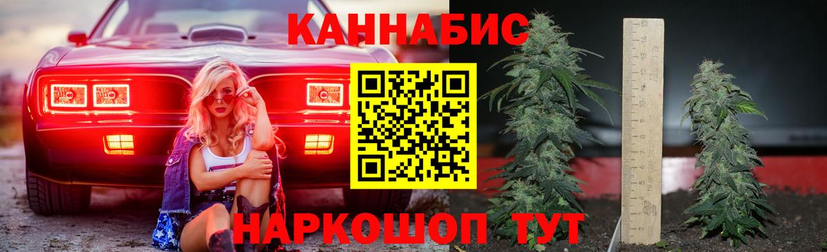Самара  Марихуана планчик  Шишки марихуана план  Вход с VPN  МАРИХУАНА Bruce Banner  МАРИХУАНА конопля 